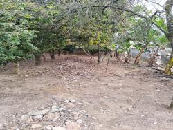 Chácara para Venda em Pindamonhangaba - 3