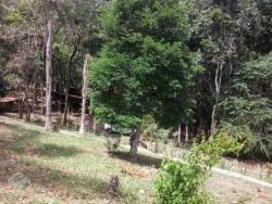 #CH0170_PAL - Sítio para Venda em Santo Antônio do Pinhal - SP - 2