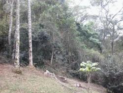 Sítio para Venda em Santo Antônio do Pinhal - 5
