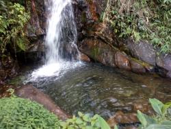 #CH0186_PAL - Chácara para Venda em Silveiras - SP - 2