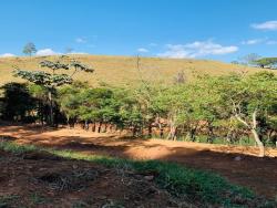 Chácara para Venda em Redenção da Serra - 4