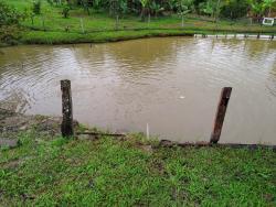 Sítio para Venda em Monteiro Lobato - 4