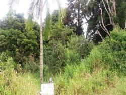 Chácara para Venda em Pindamonhangaba - 4