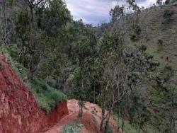 Chácara para Venda em Pindamonhangaba - 4