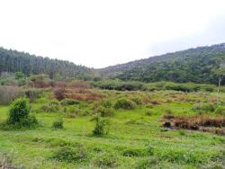 Chácara para Venda em São Luíz do Paraitinga - 5