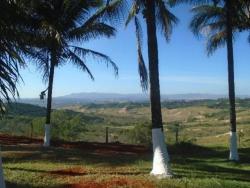 #CH0283_PAL - Fazenda para Venda em Piumhi - MG - 1