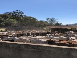 Chácara para Venda em Lagoinha - 5