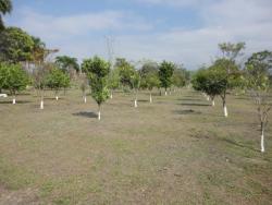 Chácara para Venda em Pindamonhangaba - 2