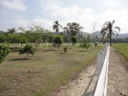 Chácara para Venda em Pindamonhangaba - 3