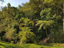 Chácara para Venda em Pindamonhangaba - 5