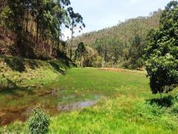 Chácara para Venda em Cunha - 4