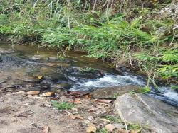 Sítio para Venda em Pindamonhangaba - 2