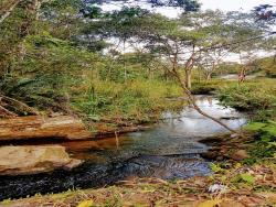 Sítio para Venda em Pindamonhangaba - 3