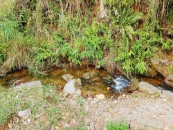Sítio para Venda em Pindamonhangaba - 4