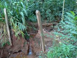Chácara para Venda em Pindamonhangaba - 3