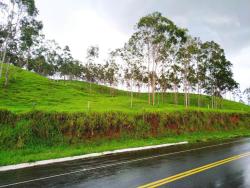 #CH0351_PAL - Chácara para Venda em Silveiras - SP - 3