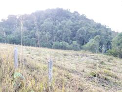 Venda em Aterrado - Lorena