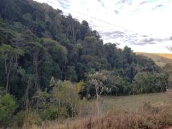 Chácara para Venda em Lorena - 4