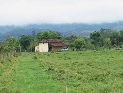 Chácara para Venda em Pindamonhangaba - 2