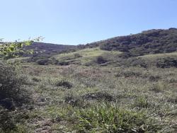 Chácara para Venda em Pindamonhangaba - 3