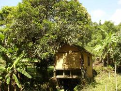 #CH0424 - Sítio para Venda em Pindamonhangaba - SP - 2