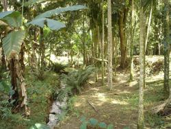 #CH0424 - Sítio para Venda em Pindamonhangaba - SP - 3