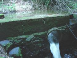 Sítio para Venda em Pindamonhangaba - 4