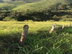 Chácara para Venda em São Luíz do Paraitinga - 4