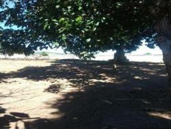 Chácara para Venda em Pindamonhangaba - 2