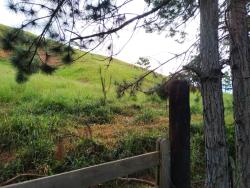 Chácara para Venda em Silveiras - 4
