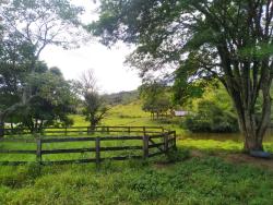 #CH0510_PAL - Sítio para Venda em Pindamonhangaba - SP - 2