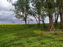 Sítio para Venda em Pindamonhangaba - 4