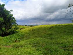 Sítio para Venda em Pindamonhangaba - 5