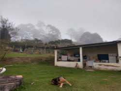 Sítio para Venda em São Luíz do Paraitinga - 4
