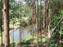 #CH0547_PAL - Chácara para Venda em Cunha - SP - 3