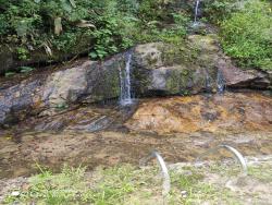 Chácara para Venda em Piquete - 4