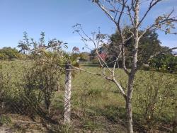 Chácara para Venda em Pindamonhangaba - 2