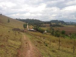 #CH0560_PAL - Sítio para Venda em Taubaté - SP - 1