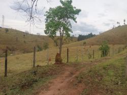 Sítio para Venda em Taubaté - 4