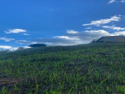 #CH0561_PAL - Chácara para Venda em Santo Antônio do Pinhal - SP - 3