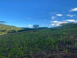 Chácara para Venda em Santo Antônio do Pinhal - 4