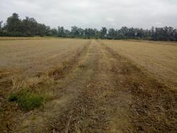 #CH0564_PAL - Sítio para Venda em Pindamonhangaba - SP - 1