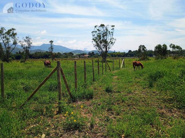 #19254 - Chácara para Venda em Pindamonhangaba - SP