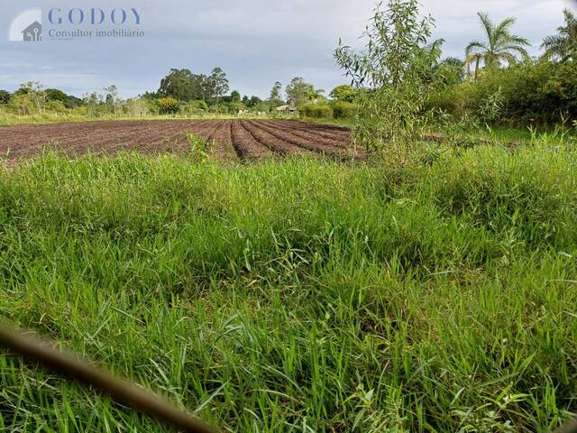 #19279 - Chácara para Venda em Pindamonhangaba - SP - 2