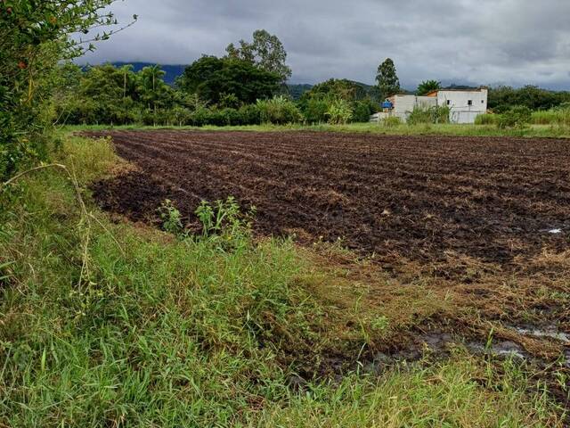 #19279 - Chácara para Venda em Pindamonhangaba - SP - 3