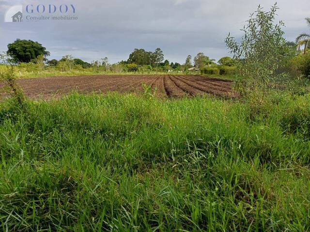 Chácara para Venda em Pindamonhangaba - 5