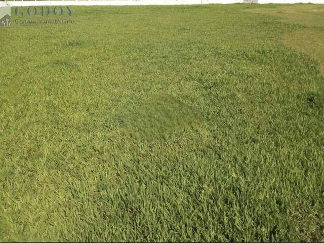 #19284 - Área para Venda em Pindamonhangaba - SP - 1