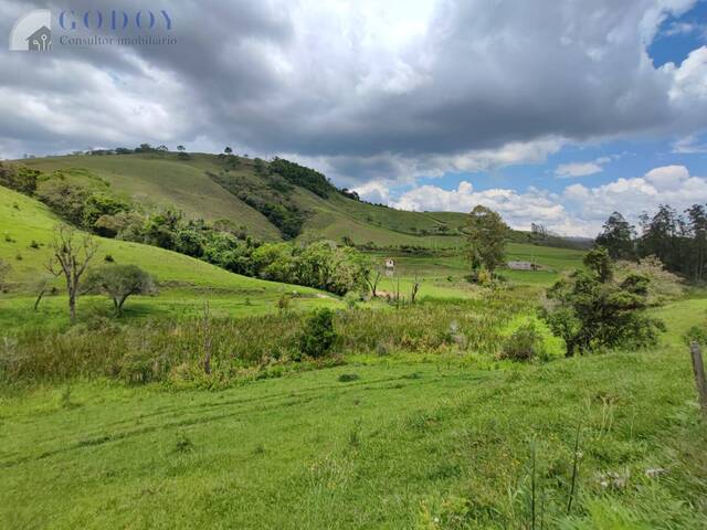 #19301 - Chácara para Venda em Cunha - SP - 2