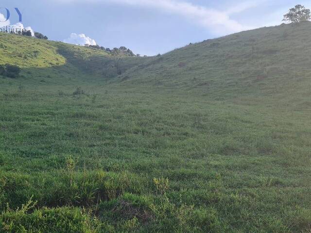#19314 - Área para Venda em Taubaté - SP - 1