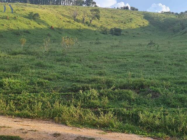 Área para Venda em Taubaté - 5
